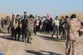 اعزام بیش از ۴۰۰ دانشجوی دانشگاه آزاد مشهد به اردوی راهیان نور