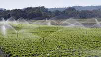 Iran Ranks 2nd in World in Development of Irrigation, Drainage Sciences