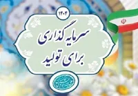 سرمایه‌ داخلی در دسترس‌تر است؛ دولت نباید در امور بخش خصوصی دخالت کند