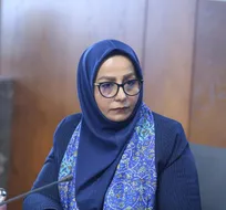 ارتقای فرش دستباف مستلزم هماهنگی بین دستگاهی و تقویت ساختارهای حمایتی است