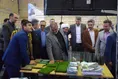 رویداد صدرا در واحد خوی