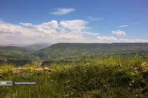 منطقه سرسبز و توریستی هزارجریب مازندران