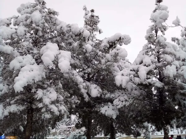 دانشگاه آزاد اسلامی واحد قم در یک روز برفی