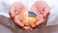 Study reveals brain&rsquo;s defense against Alzheimer&rsquo;s
