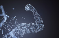 New discovery could help preserve muscle strength and slow age-related decline
