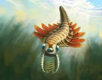 کشف موجود سه‌چشم ۵۰۶ میلیون ساله