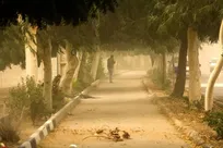 هشدار زرد هواشناسی برای تهران / وزش باد شدید و گردوخاک تا سه‌شنبه ادامه دارد