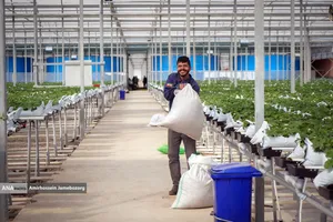 تولید ملی برای آبادانی مناطق محروم