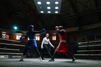 بازیگر سینما عضو تیم ملی بوکس بانوان شد