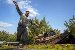 توانمندی اقتصادی برای رفع محرومیت - باغ گلابی