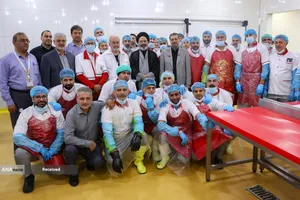 بازدید حجت الاسلام سید عبدالفتاح نواب سرپرست حجاج ایرانی از روند خدمت رسانی به زائران حج