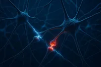 بدن در برابر درد بدون دارو چه می‌کشد