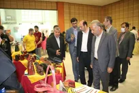 ورود ۴ محصول فناورانه و دانش‌بنیان حوزه چرم و کفش به مرحله تجاری‌سازی