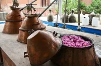 پیشینه صادرات گلاب ایران به سراسر دنیا به قبل از اسلام برمی‌گردد