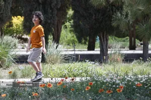 باغ گیاهشناسی ایران