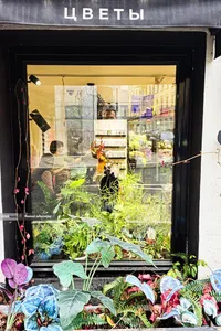 شهر مسکو روسیه