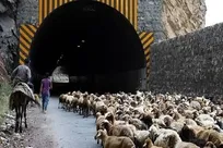 جاده چالوس فردا دوشنبه به مدت ۱۵ ساعت مسدود است