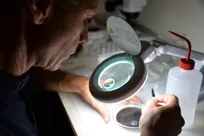 چرا انباشتگی ریزپلاستیک‌ها در مغز بیش از سایر اندام‌های بدن است