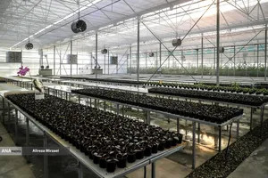 افتتاح سرای نوآوری کشاورزی واحد علوم و تحقیقات با حضور دکتر رنجبر رئیس دانشگاه آزاد اسلامی