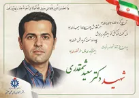 روایت همسر از زندگی و منش علمی استاد شهید شمقدری