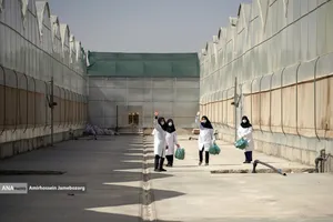 تولید ملی برای آبادانی مناطق محروم