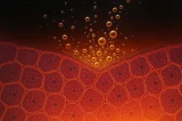 نوشابه رژیمی هم آرام‌آرام کبد را نابود می‌کند