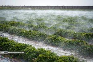 تولید ملی برای آبادانی مناطق محروم