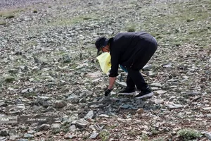 پاکداشت طبیعت توچال