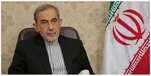 پیام ولایتی در تقدیر از مردم غیور عراق: از کربلا تا نجف، عراق در وداع با امام شهید مقاومت یکپارچه شد