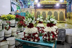 تور رسانه&zwnj;ای اهالی رسانه در حرم حضرت معصومه(س)