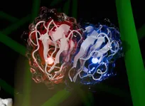 تبدیل پسماند به انرژی با کشف آنزیم جدید «سل-او-سی-ای»