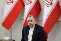 تخت‌روانچی: اینکه بگویند غنی‌سازی نکن مصداق قانون جنگل است؛ شرط ایران برای بازگشت به مذاکره