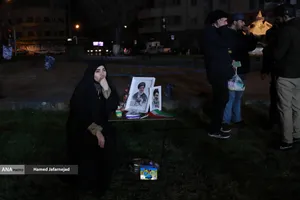 مراسم وداع با شهدای ناوشکن دنا و حمایت از نیروهای مسلح با حضور دکتر بیژن رنجبر و دانشگاهیان دانشگاه آزاد اسلامی استان تهران و اقشار مختلف مردم - میدان فردوسی تهران