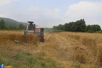 کسب ۳.۵ میلیارد ریال درآمد از احیای زمین‌های دانشگاه آزاد آیت‌الله آملی