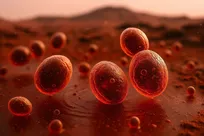 موجودی آشنا در نانوایی‌ها با توانایی زنده ماندن در مریخ