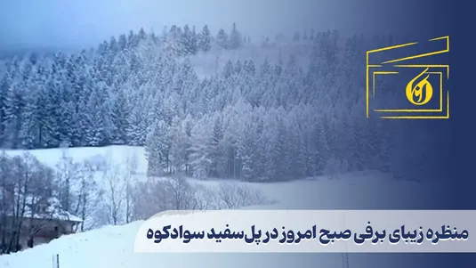 منظره زیبای برفی صبح امروز در پل‌سفید سوادکوه