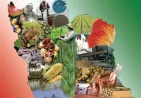 تاکید بر نقش مدیریت میدانی بحث امنیت غذایی در شرایط بحرانی