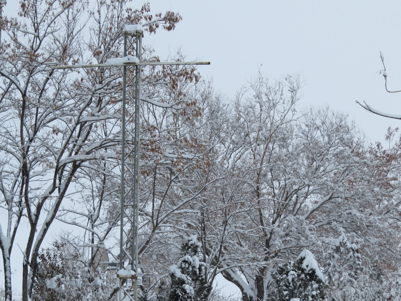 بارش برف زمستانی در واحد بین الملل ماکو؛ کوه آرارات در پوشش سپید