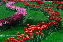 باغ گلهای کرج