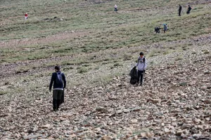 پاکداشت طبیعت توچال