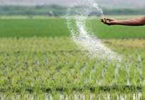 افزایش ۲۱ درصدی توزیع کود شیمیایی
