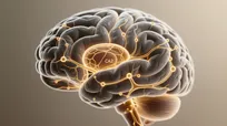 دیگر آلزایمر خاطرات را از ذهن پاک نمی‌کند