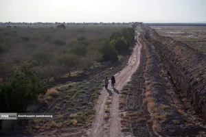 تولید برای محرومیت زدایی - باغ پسته