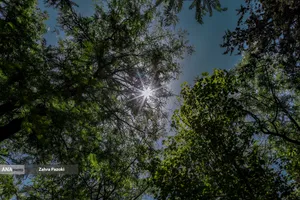 باغ گیاهشناسی ایران