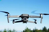 کشف محموله بزرگ قاچاق بیسیم و ریزپرنده‌ها در گمرک کشور