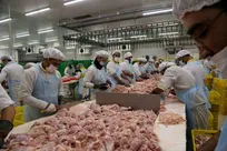 صنعت غذا زیر ذره‌بین مجلس| آریایی‌نژاد: نظارت‌ها کافی نیست +فیلم