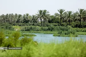 پیاده روی زائرین اربعین حسینی