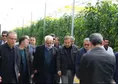 بازدید دکر طهرانچی از گلخانه