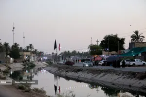 پیاده روی زائرین اربعین حسینی از طریق العلما