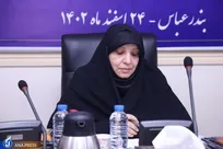 طباطبایی: صدور فوری دانشنامه الکترونیکی جایگزین مدرک موقت می‌شود